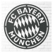 Dřevěné logo klubu - FC Bayern Munchen