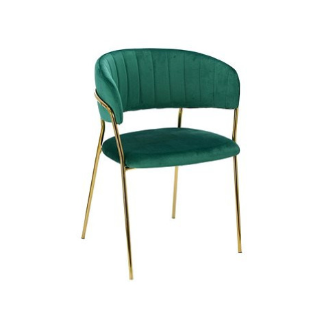 Židle Margo zelená