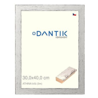 DANTIK rámeček 30 × 40, ATHINA Bílý plexi čiré