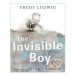 Invisible Boy - Trudy Ludwig, Patrice Barton (ilustrátor) - kniha z kategorie Pohádky