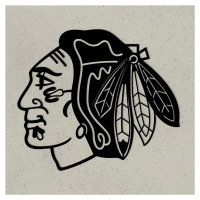 Dřevěné 3D logo - Chicago Blackhawks