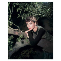 Fotografie Audrey Hepburn, 30 × 40 cm