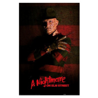 Plakát, Obraz - Noční můra v Elm Street - Freddy Krueger, (61 x 91.5 cm)