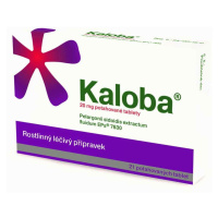 Kaloba 20mg 21 tablet