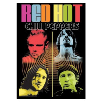 Plakát, Obraz - Red Hot Chili Peppers - Live Colour Me, 61x91.5 cm
