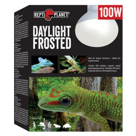 Repti Planet žárovka Daylight Frosted 100W