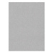 Kusový koberec Nasty 101595 Silber 80×200 cm