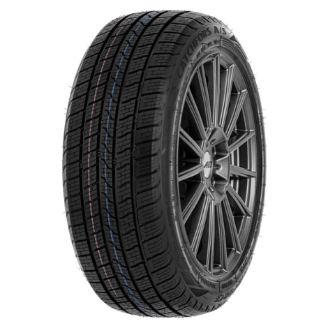 WINDFORCE 245/45 R 18 100Y CATCHFORS_A/S TL XL M+S 3PMSF ZR