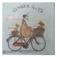 Obraz na plátně Sam Toft - Ginger Nuts, 2 - 30×30 cm