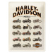 Plechová cedule Harley Davidson - Models, (30 x 40 cm)