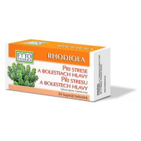 RHODIOLA tobolky při stresu 30ks Fytopharma