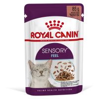 Royal Canin Sensory Feel - vlhké krmivo v omáčce pro dospělé kočky 12 x 85 g