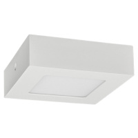 LED30 FENIX-S White 6W NW