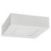 LED30 FENIX-S White 6W NW