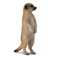 Collecta surikata stojící hlídající