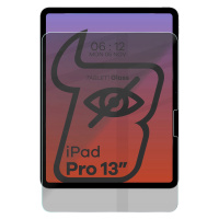 Sklo Bizon privatizační pro iPad Pro 13 7 gen. 2024, tvrzené 2 kusy