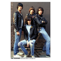 Plakát, Obraz - Ramones - Germany 1978, (59.4 x 84.1 cm)