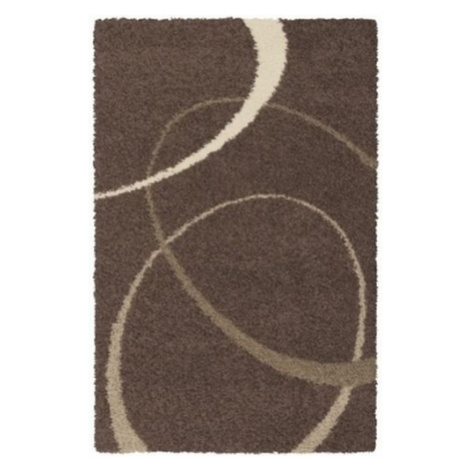 Chlupatý kusový koberec Savana Plus 20DVD | hnědý Typ: 80x150 cm