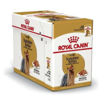 Royal Canin Yorkshire 12 × 85 g