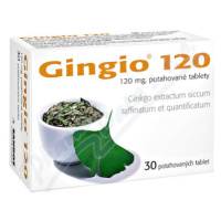 Gingio 120mg tbl.flm.30x120mg