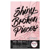 Shiny Broken Pieces (český jazyk) - Sona Charaipotra, Dhonielle Clayton - kniha z kategorie Pro 