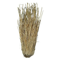 Lucky Reptile Grass Bushes 25-40 cm