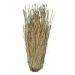 Lucky Reptile Grass Bushes 25-40 cm