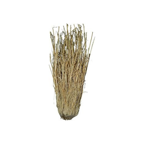 Lucky Reptile Grass Bushes 25-40 cm