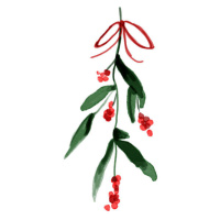 Ilustrace Christmas illustration of  ivy and, mikroman6, (35 x 40 cm)