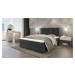 SFAB Kontinentální čalouněná postel MERCURY (120x200 cm) Barva látky: Světlá šedá (Riviera 91)