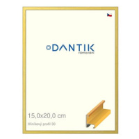 DANTIK rámeček 15 × 20, ALU profil 6030 Dýha barevný žlutý sklo čiré