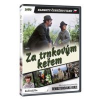Za trnkovým keřem - edice KLENOTY ČESKÉHO FILMU (remasterovaná verze) - DVD