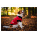 Vsepropejska Jazzy mikina pro psa na zip Barva: Červená, Délka zad (cm): 35, Obvod hrudníku: 35 