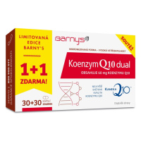 Barnys Koenzym Q10 Dual limitovaná edice 30+30 kapslí