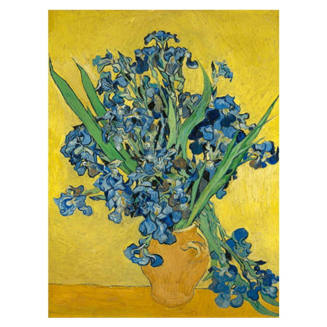 Reprodukce obrazu Vincenta van Gogha - Irises, 60 x 45 cm Fedkolor