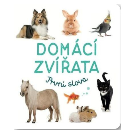 Domácí zvířata První slova Svojtka&Co.