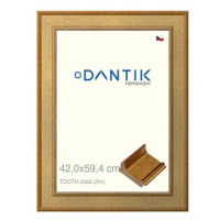 DANTIK rámeček 42 × 59,4, TOOTH zlatý plexi čiré