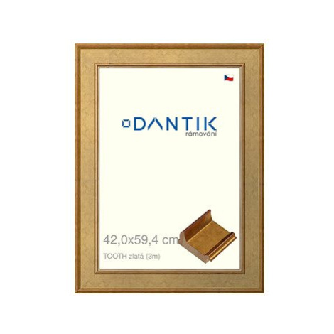 DANTIK rámeček 42 × 59,4, TOOTH zlatý plexi čiré