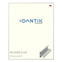 DANTIK rámeček 40 × 50, ALU profil 6030 Bílý matný sklo čiré