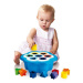 Daisy shape sorter