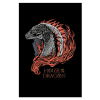 Umělecký tisk House of Dragon - Dragon in Fire, 26.7x40 cm