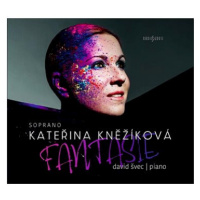 Kněžíková Kateřina: Fantasie - CD