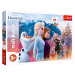 Trefl | Puzzle maxi 24 ks | Frozen magická výprava
