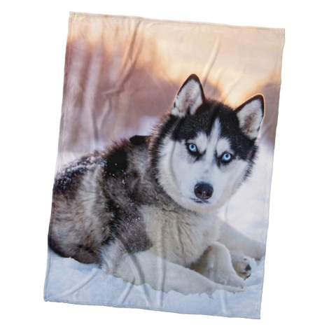 Carbotex Dětská deka z mikrovlákna (coral fleece) PES SIBIŘSKÝ HUSKY, béžová, 150x200cm