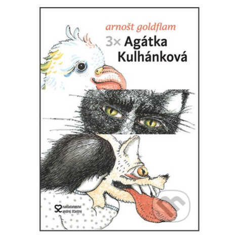 3 x Agátka Kulhánková - Arnošt Goldflam - kniha z kategorie Pohádky