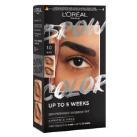 L'ORÉAL PARIS Brow Color 1.0 Black