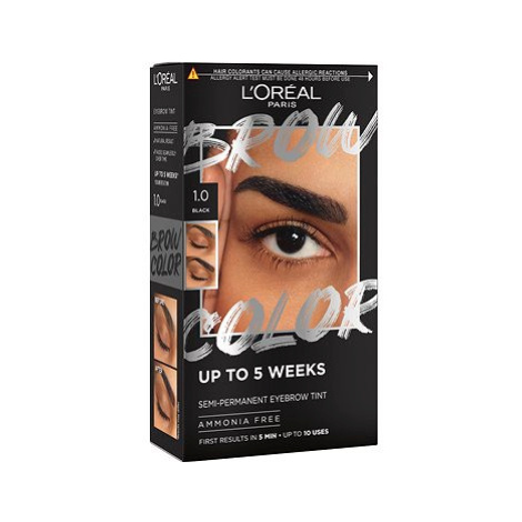 L'ORÉAL PARIS Brow Color 1.0 Black L'Oréal Paris