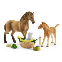 Schleich Set hříbě a Quarter kůň se štěnětem a doplňky, 3.  vydání