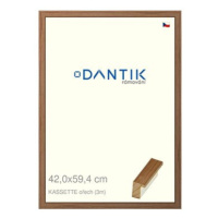 DANTIK rámeček 42 × 59,4, KASSETTE ořech plexi čiré