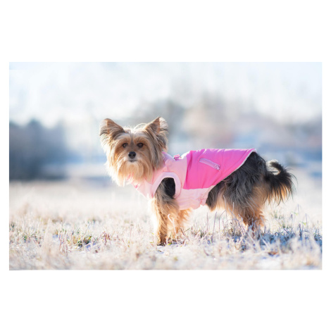 Vsepropejska Aston obleček pro psa na zip Barva: Růžová, Délka zad (cm): 33, Obvod hrudníku: 40 